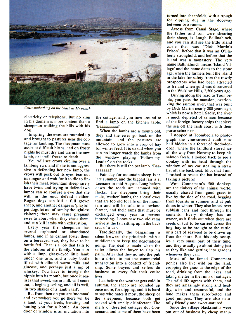 humanitydickconnemara4.jpg