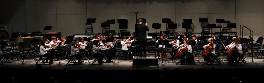 elementalstringscr2_0765.jpg
