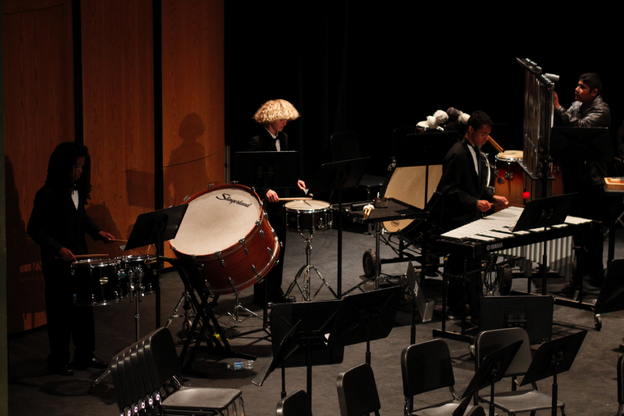 percussion_9756.jpg