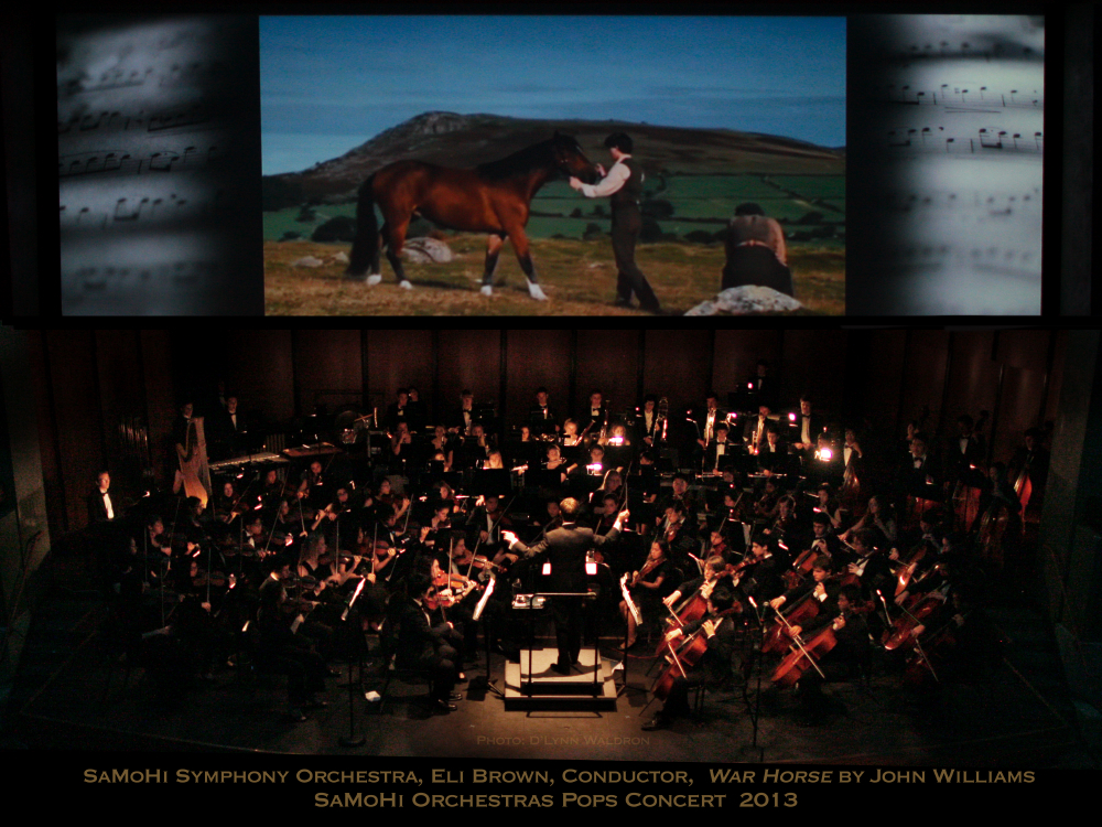 pops2013brownwarhorse.jpg