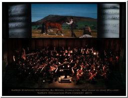 Pops2013BrownWarHorse.jpg