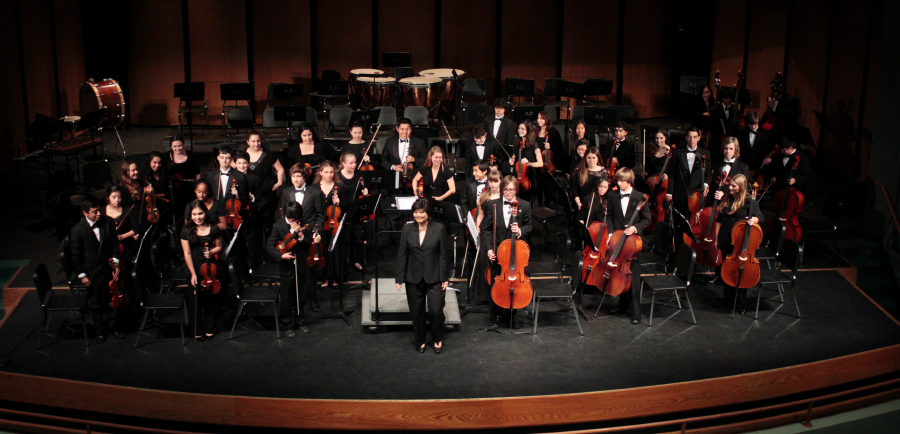 orchestraswenson_2282.jpg